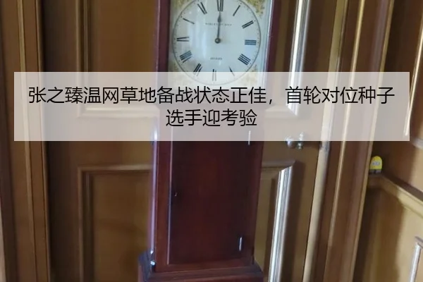 zhang-zhi-zhen-wen-wang-cao-di-bei-zhan-zhuang-tai-zheng-jia-shou-lun-dui-wei-zhong-zi-xuan-shou-ying-kao-yan-2-657.jpg