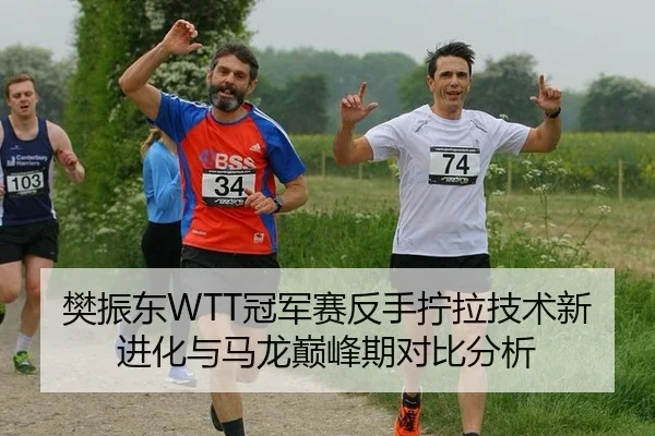 樊振东WTT冠军赛反手拧拉技术新进化与马龙巅峰期对比分析